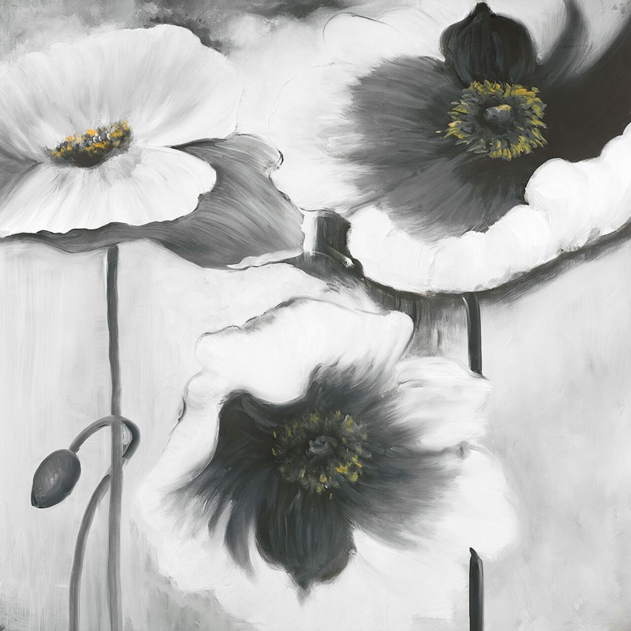 BLACK AND WHITE FLOWERS Poster Print by Atelier B Art Studio - Item # VARPDXBEGFLO120